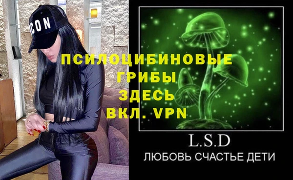PSILOCYBIN Михайловка