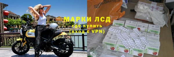 ПСИЛОЦИБИНОВЫЕ ГРИБЫ Абдулино