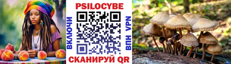 Псилоцибиновые грибы GOLDEN TEACHER  купить   Аксай 